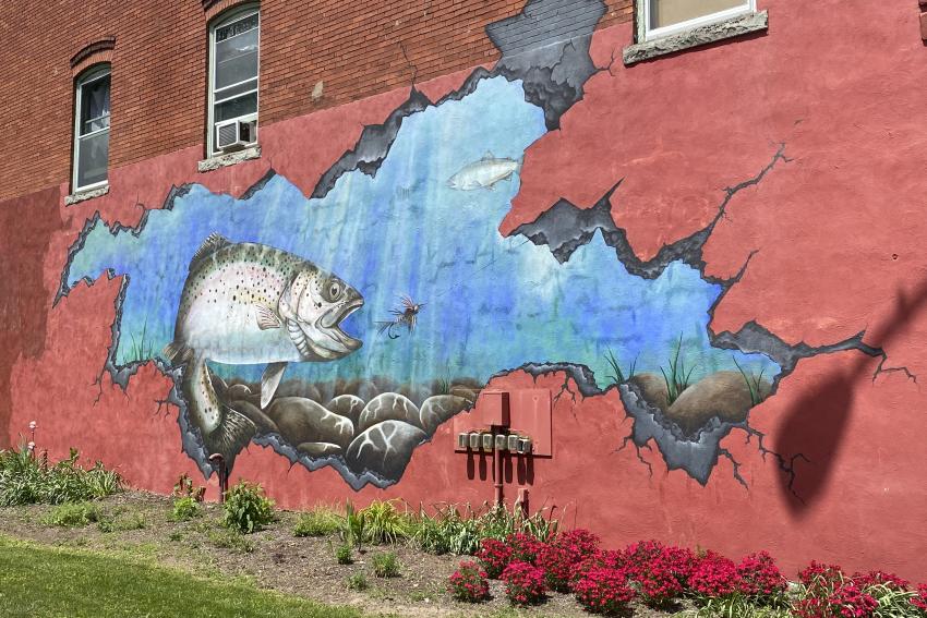 Rainbow Trout mural