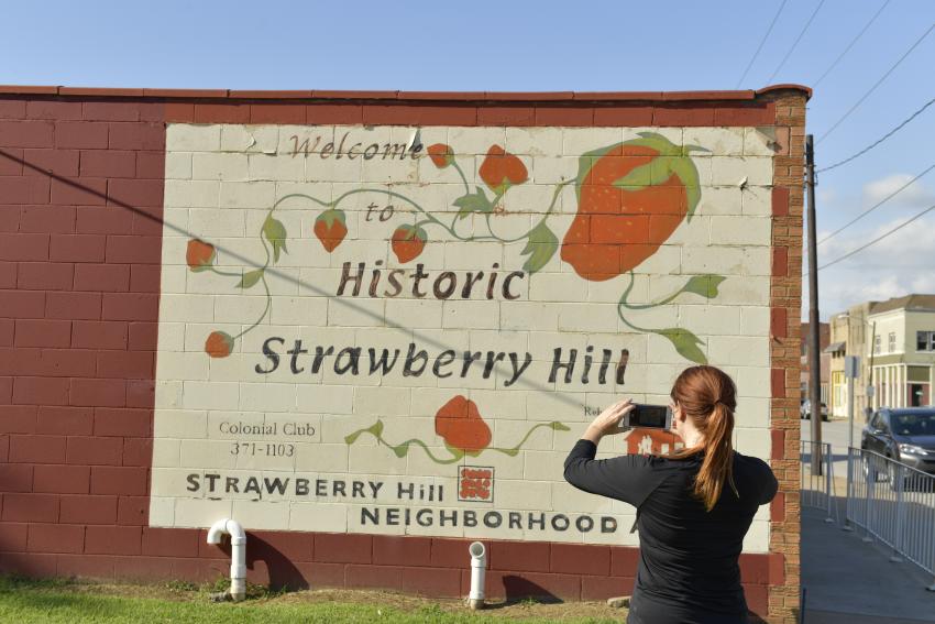 Strawberry Hill Mural