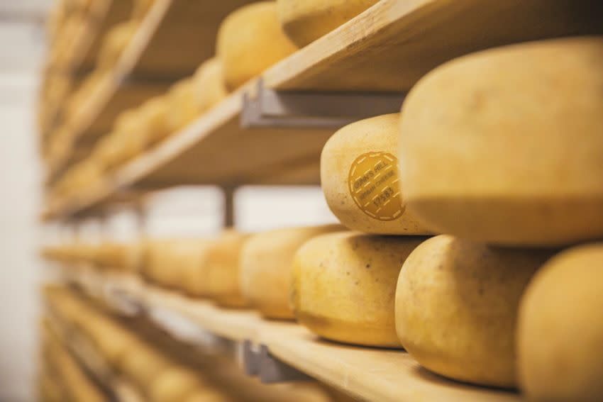Gunns Hill Cheese
