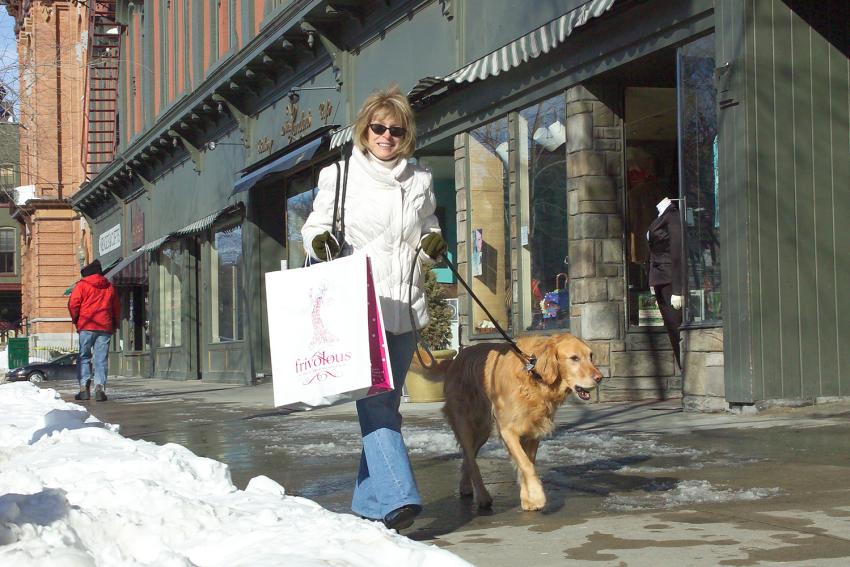 Holiday Shopping Winter