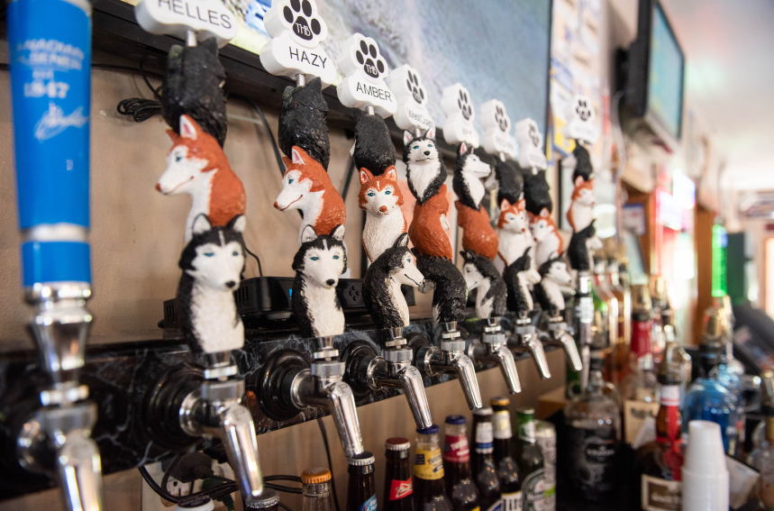 Three Huskies Tap Handles at Dobber's