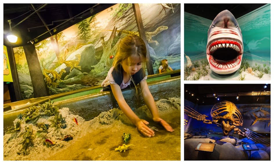Museum of Ancient Life