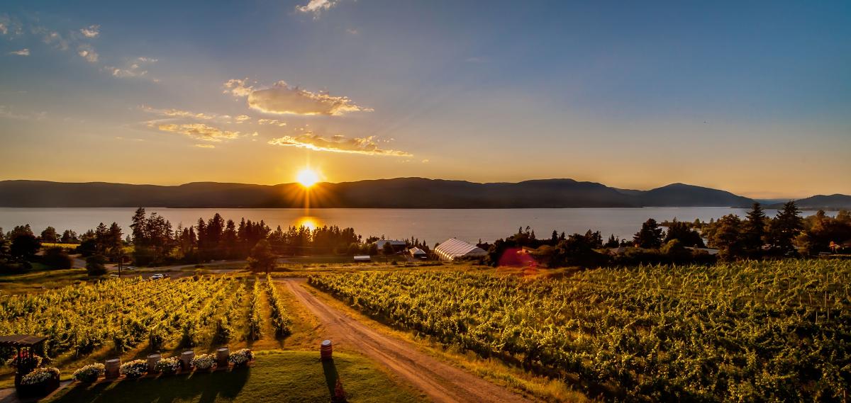 Summerhill Sunset Bistro view