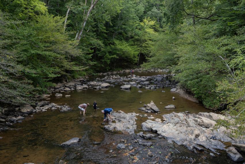 People playing in the Eno River at Eno River State Park