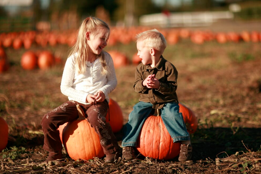 Fall Festival West End Creamery