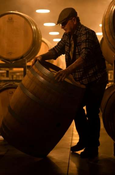 Behind The Wine Bottle