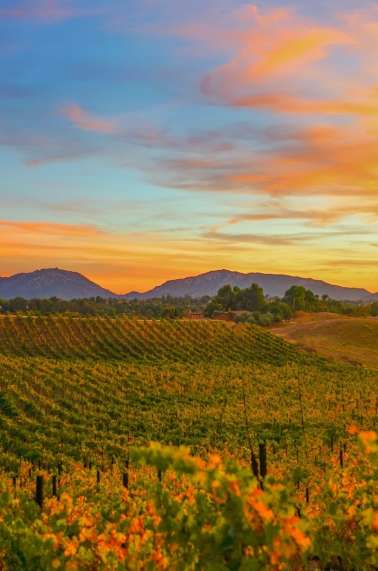Fall in Temecula Valley
