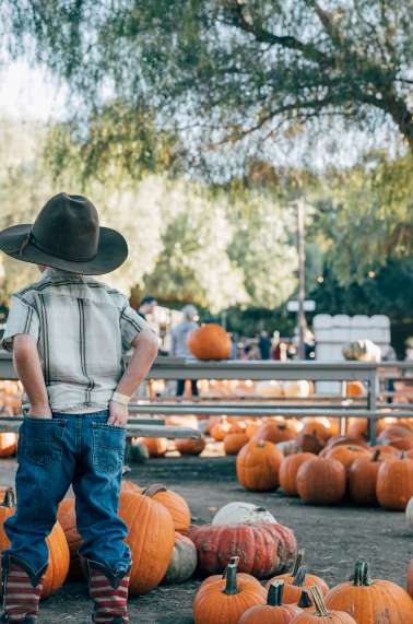 Peltzer Pumpkin Farm - Fall
