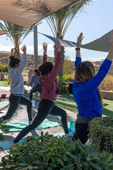 People Enjoying Yoga at Akash