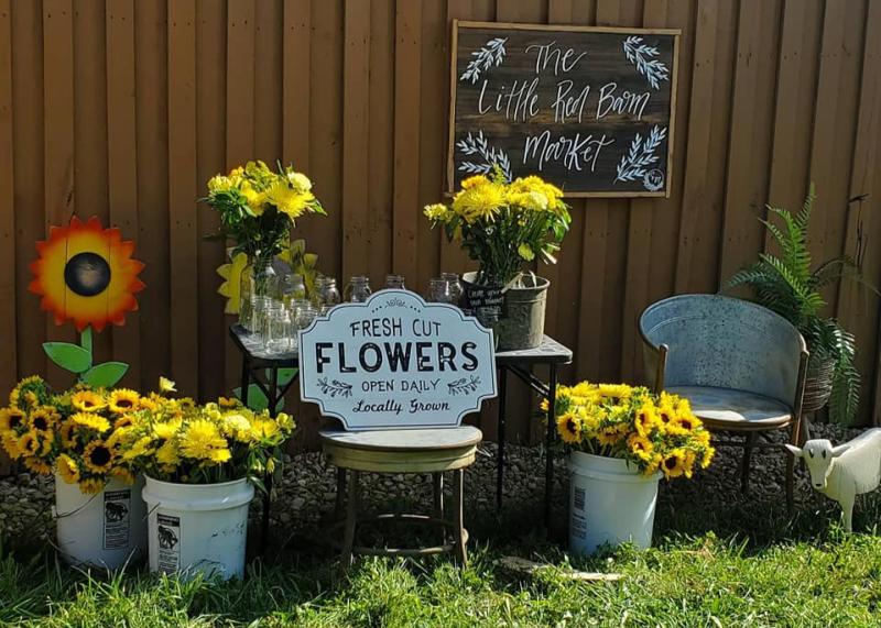 The Little Red Barn Market at Walker's Homestead hosts seasonal events such as their Christmas on the Farm in December.