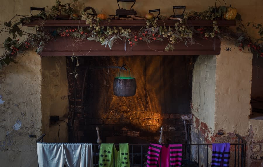 The Witch's House