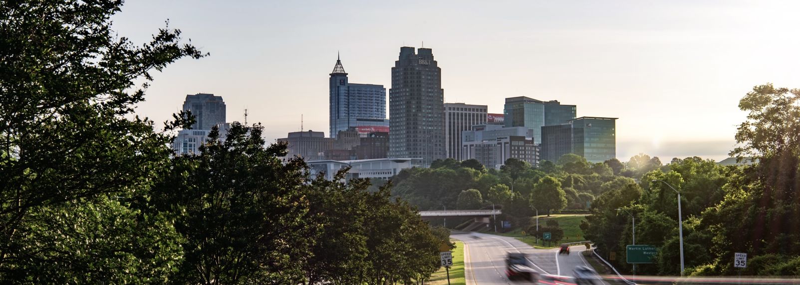 Raleigh Skyline June 2020