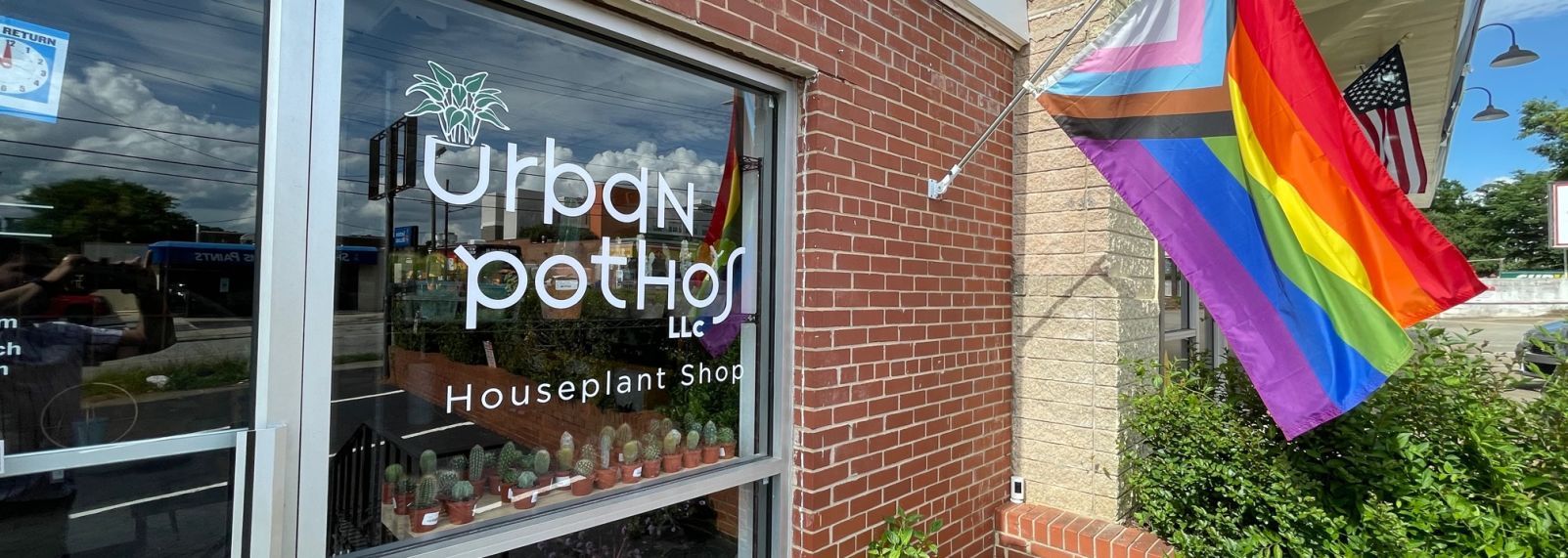 Urban Pothos
