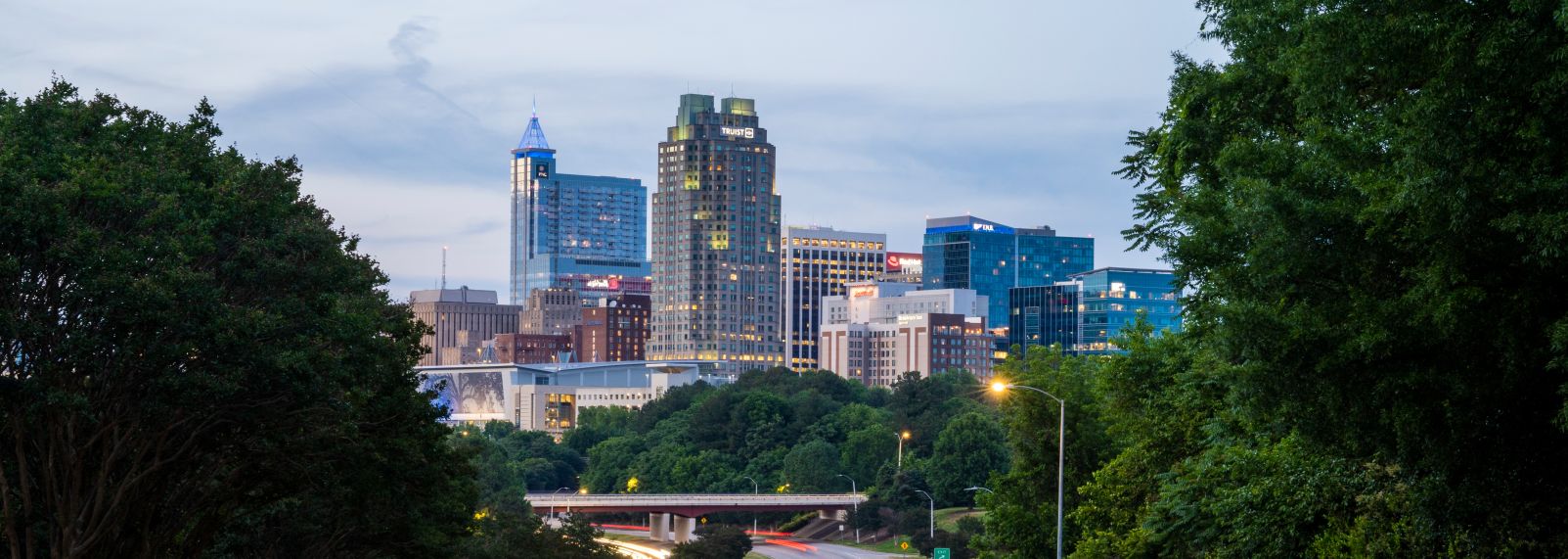 Downtown Raleigh skyline