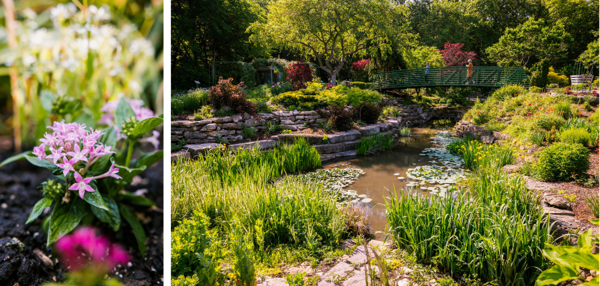 Overland Park Arboretum & Botanical Gardens