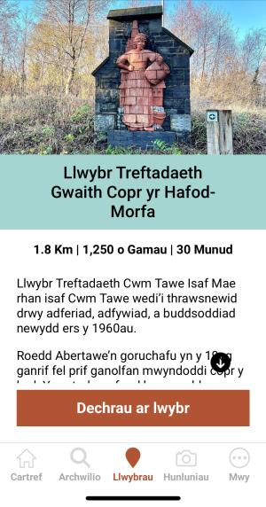 Gwaith Copr yr Hafod-Morfa