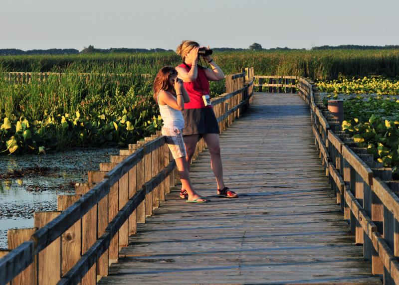 Birding Hot Spots 4