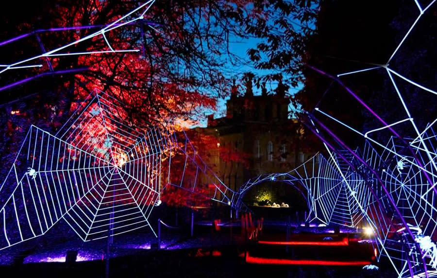 Illuminated spiderweb light installations at Blenheim Palace in the Cotswolds, glowing in blue, purple and red against a dark evening sky.