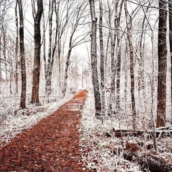 A clear hiking path through the otherwise snow-covered Leonard Springs Nature Park