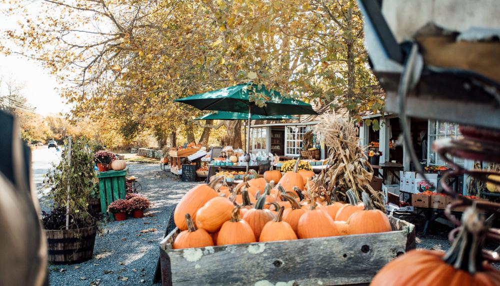 newport-ri-hotels-things-to-do-events-dining-vacation-guide