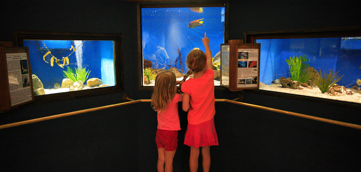 Woods Hole Aquarium