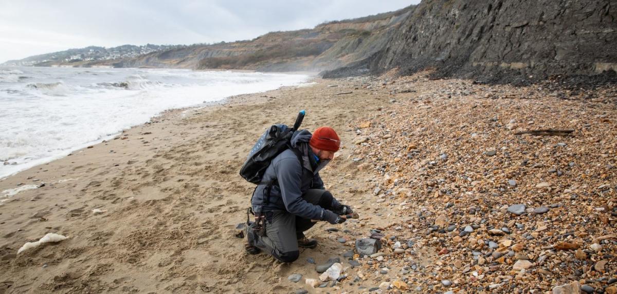 Jurassic Coast Guides hunting for fossils on a pebble beach in Dorset
