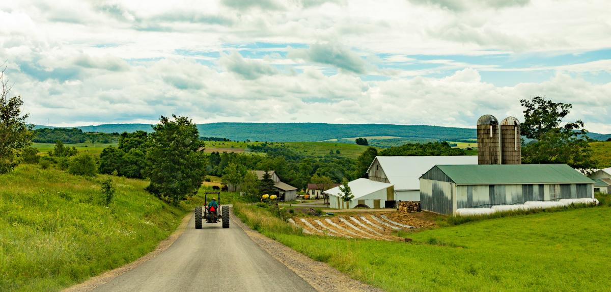 Carol Saylor, Elk Lick Township, Somerset County, Amish