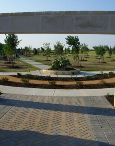 Original 2011 tree at Crape Myrtle park