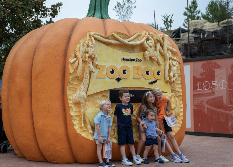 Zoo Boo