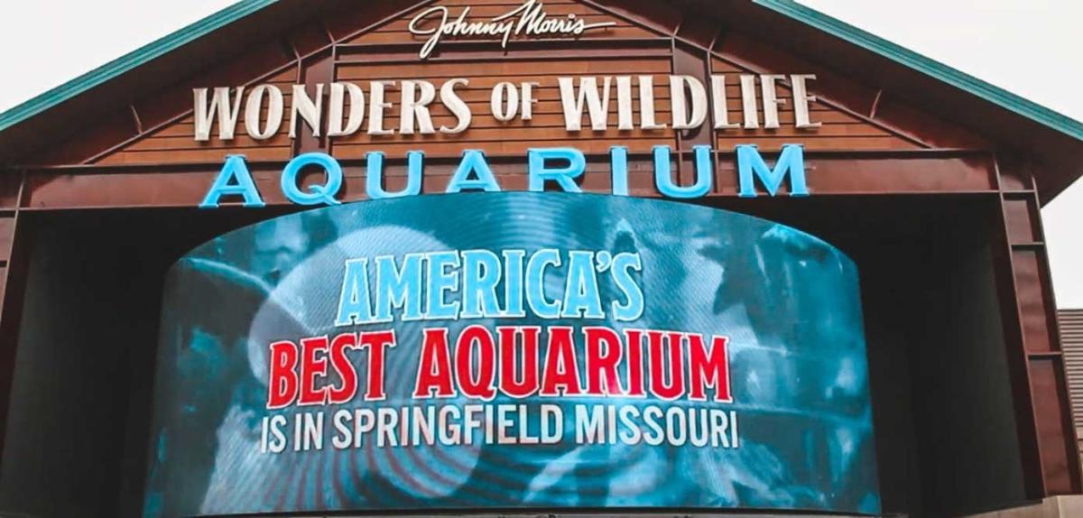 Wonders of Wildlife Aquarium