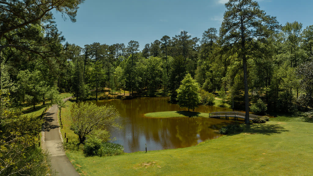 Pond at Lockerly