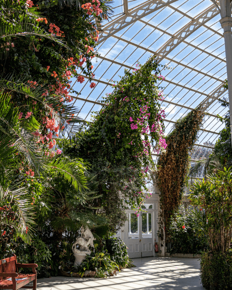 Flowers hanging from a glass domed building