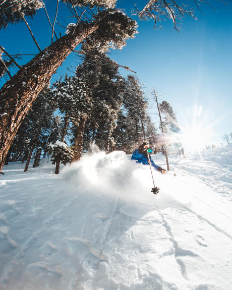 Red River Skier