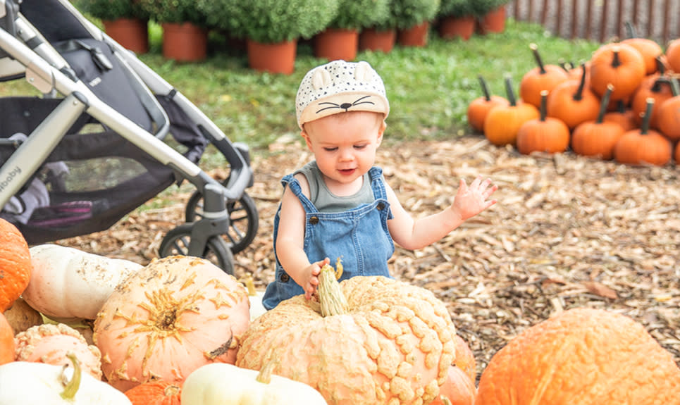 Harvest Tyme Family Farm baby with pumpkins