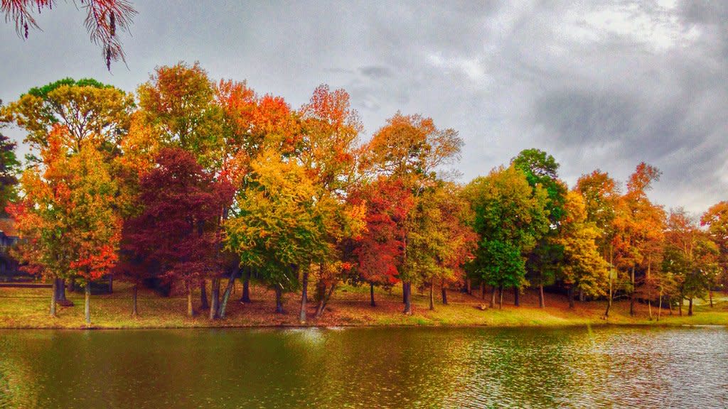 fall foliage at Tyler state park