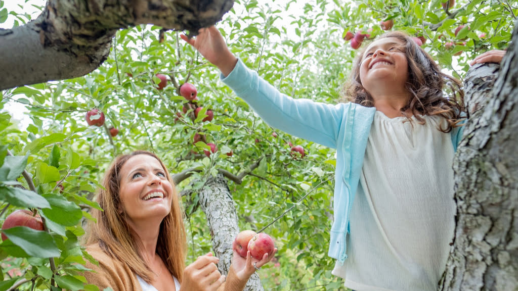 A woman and her daughter at Beasley's Orchard