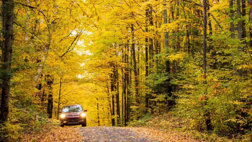 Car on road in fall.