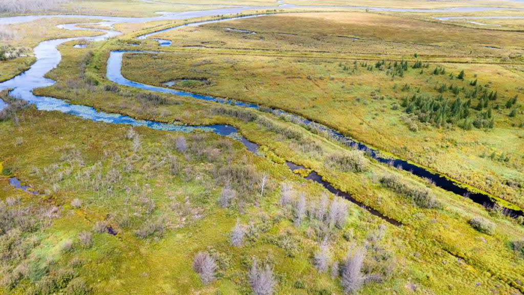 sturgeon sloughs 2