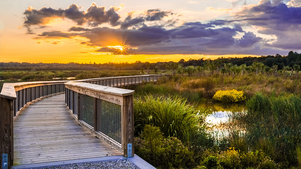 Sweetwater Wetlands Park by Wesley Hetrick