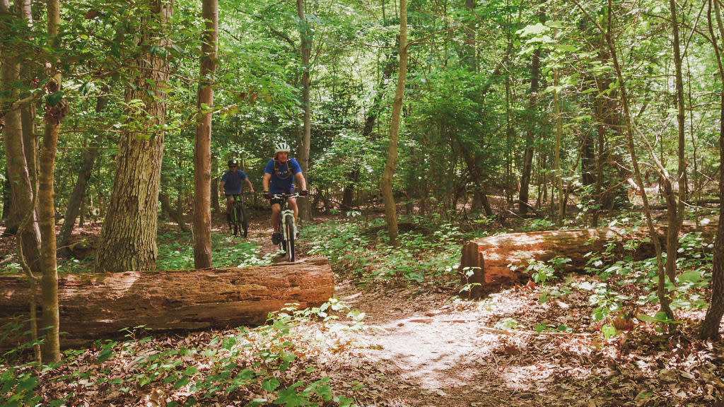 Newport News Park-Biking