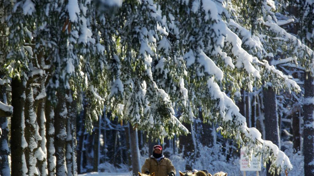 7 Best Winter Activities In Syracuse