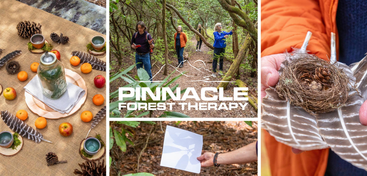 Pinnacle Forest Therapy