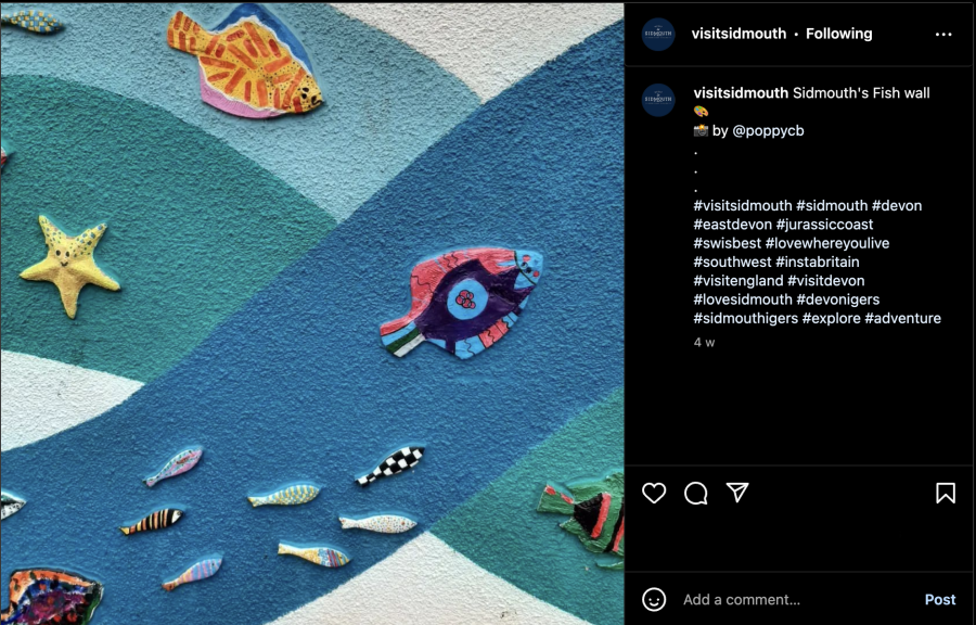 instagram image