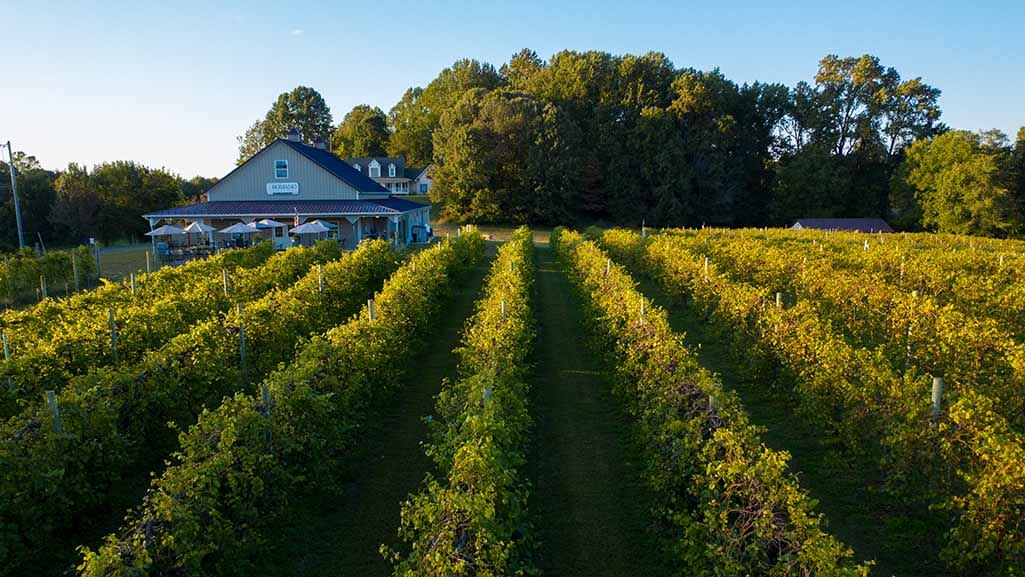 Fall Wineries