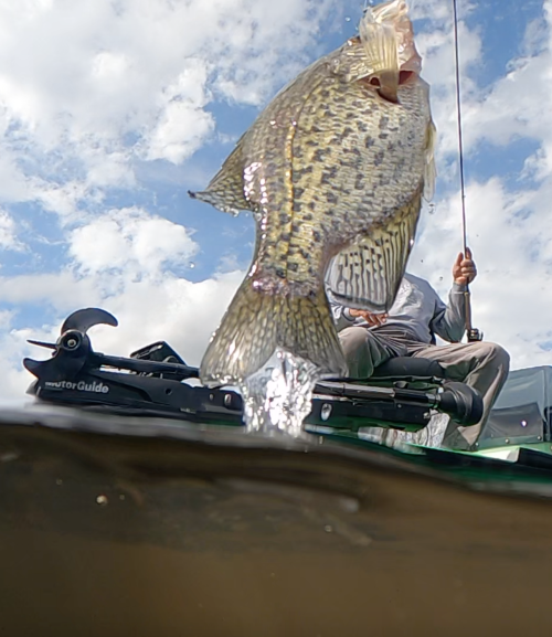 St. Tammany's many waterways give plenty of options for fishing for crappie, or sac-a-lait.