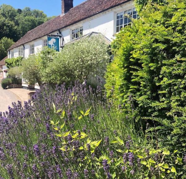 The White Horse, Chilgrove