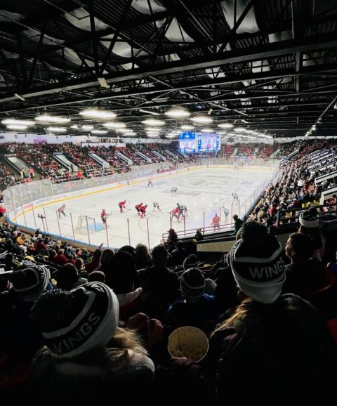 People fill the stands of a hockey arena watching a game