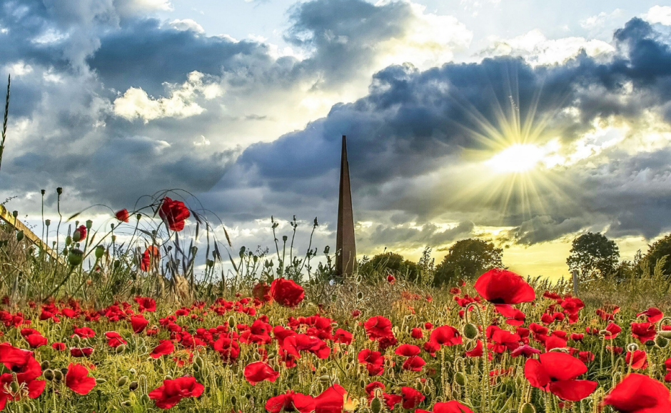 a view of the Bomber Command centre surrounded by a field of red flowers