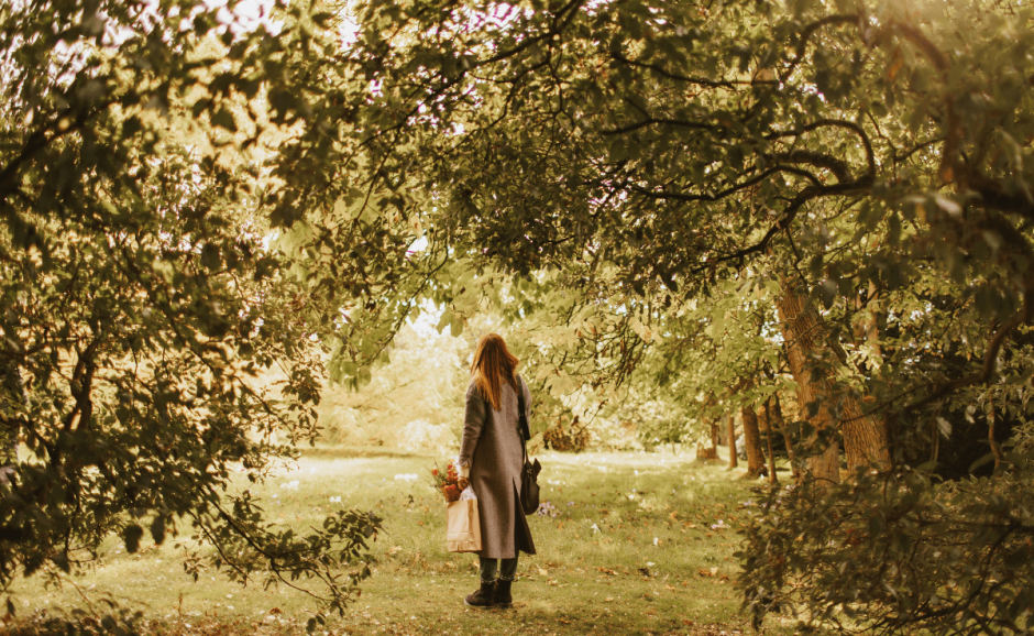 A path  through the low tree tops. Warm colors and a woman in center frame.