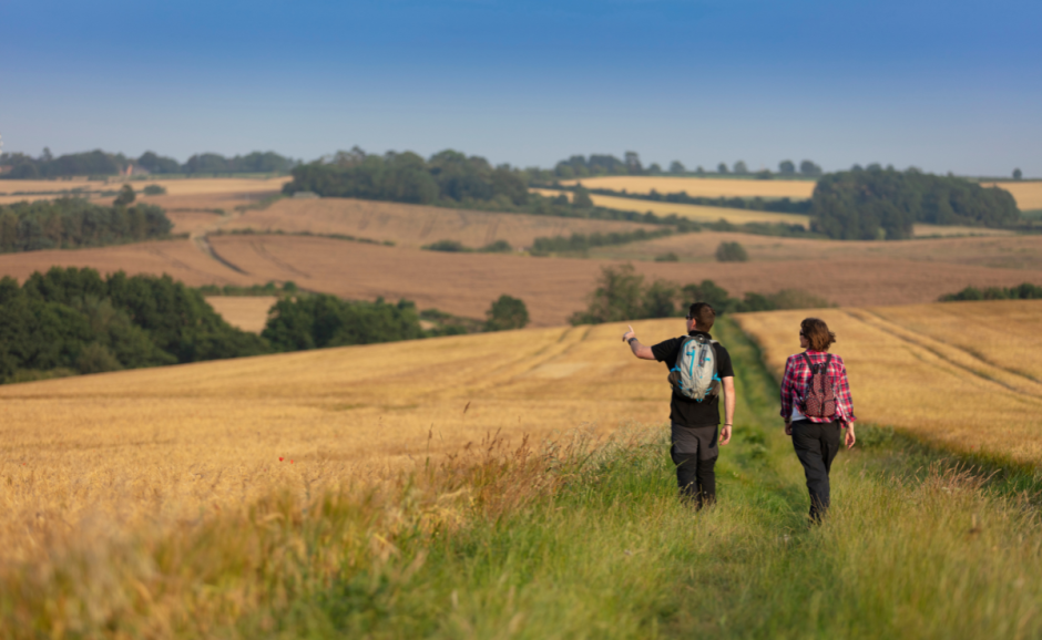 A couple sightseeing whilst walking along a grass coated trail